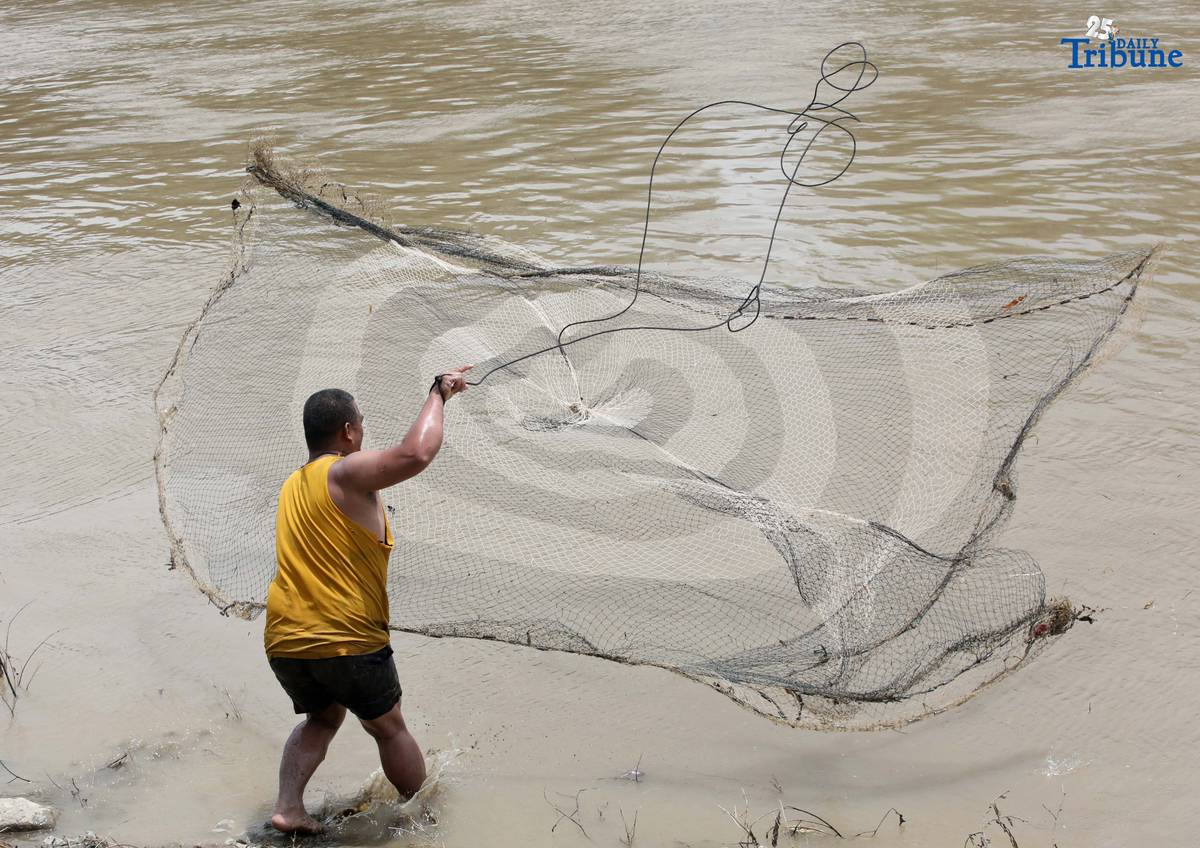 A fisherman uses traditional methods to catch freshwater tilapia at Marikina River Park in Marikina City on Wednesday. After weeks of rainfall, locals turn to fishing as a way to supplement their daily food supply.
