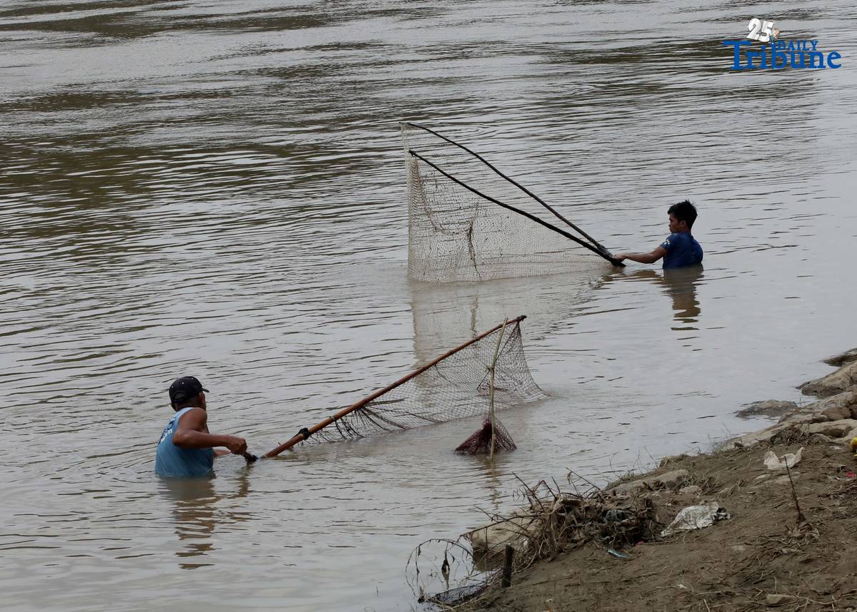 A fisherman uses traditional methods to catch freshwater tilapia at Marikina River Park in Marikina City on Wednesday. After weeks of rainfall, locals turn to fishing as a way to supplement their daily food supply.