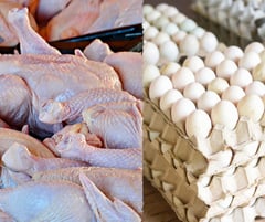DA reopens Australian poultry imports
