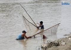Gov’t rolls out Green Lane for agri-fishery investments