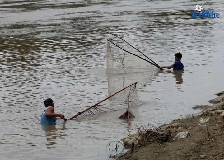 Marikina fishers turn to river for food