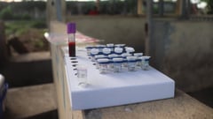 Pinoy diagnostic tools, mobile lab boost fight vs African Swine Fever