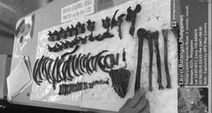 Taal Lake bones yield no DNA evidence