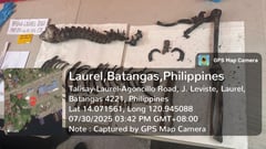 PNP: No DNA match from Taal Lake bones