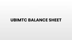 UBIMTC balance sheet