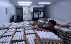 Group eyes cage-free tracker in October