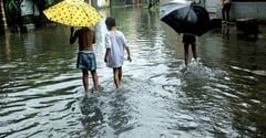 Manila logs 30 leptospirosis, 110 dengue cases