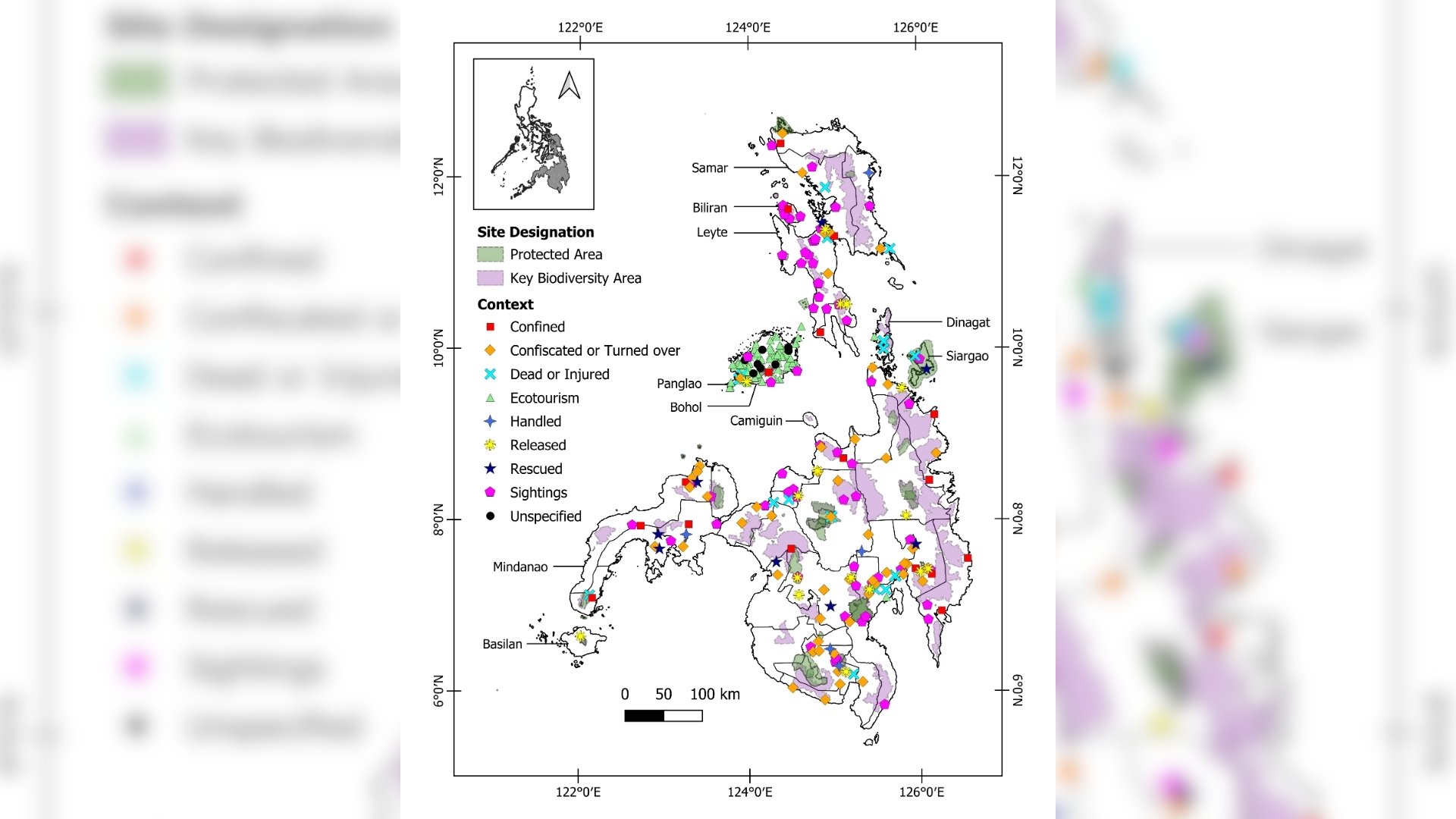 Recent UP study finds social media a valuable tool for understanding Philippine tarsiers
