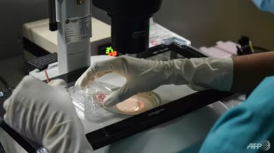Couple welcomes world's 'oldest baby' from 30-year-old frozen embryo