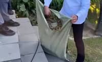 PAF personnel suffers snake bite