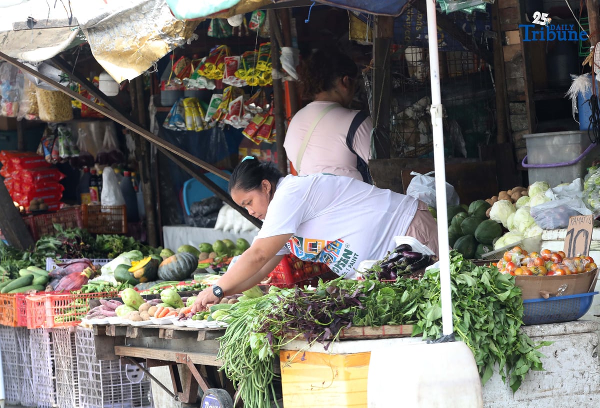 Vendors arrange their goods at Tandang Sora Market in Quezon City on Tuesday. The Philippine Statistics Authority reported that inflation eased to 0.9 percent in July, down from 1.4 percent in June. This brought the year-to-date average inflation to 1.7 percent.