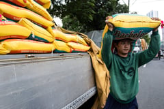 DA pilots rice blending to cut costs