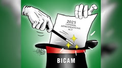 Lethal bicam mafia