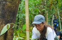 A volunteer plants a sapling at a protected watershed as part of the 2025 ‘Plant for Life’ program initiated by the Maynilad Water Services Inc. which targets to plant 180,000 native trees in the Ipo and other critical watersheds.