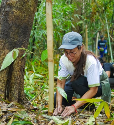 Maynilad targets vital watersheds’ protection