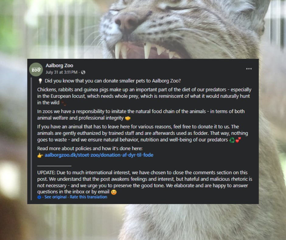 Danish zoo calls for small pet donations as animal food