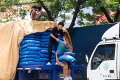 DA chief expands P20 rice program