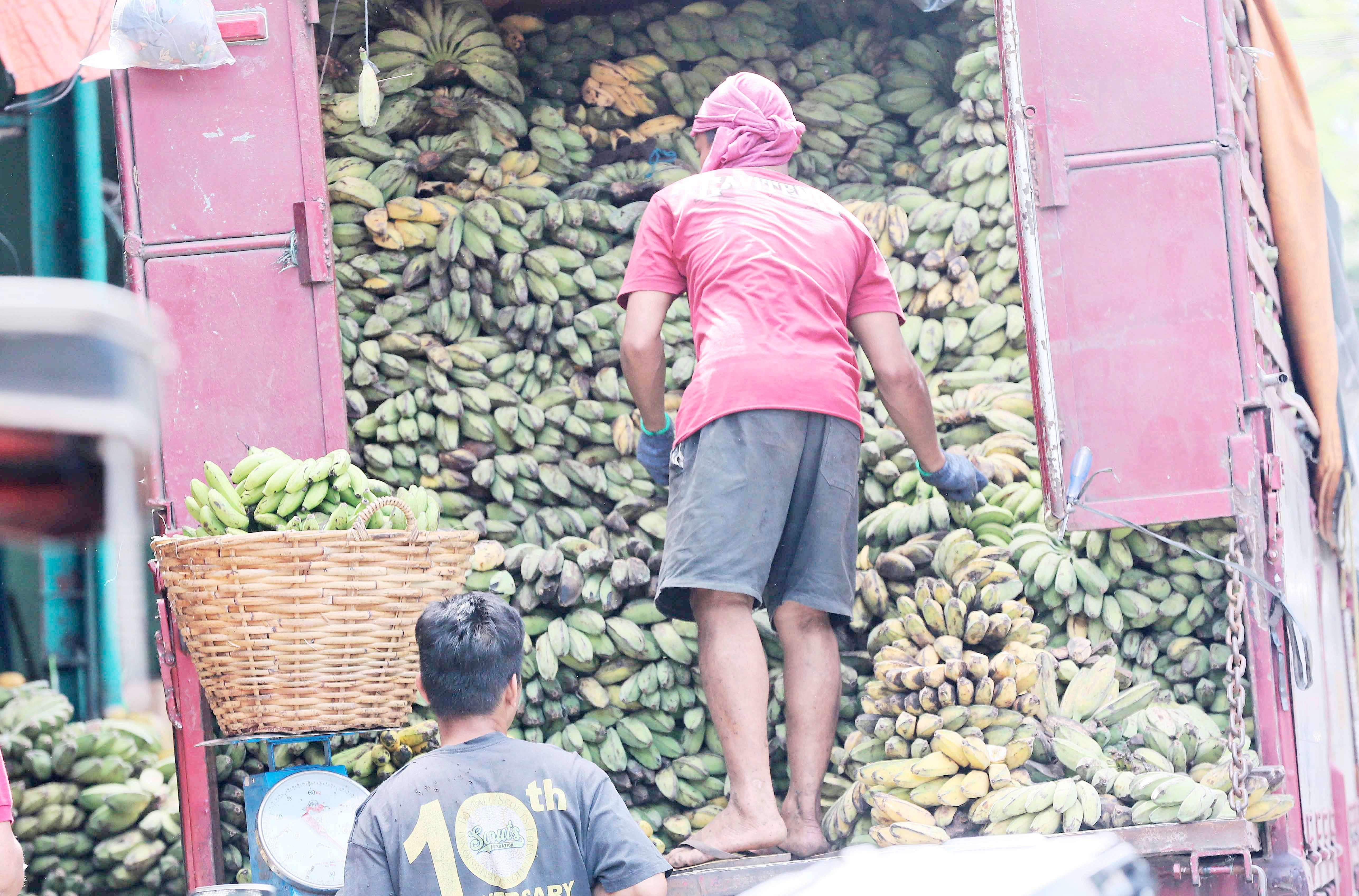 Elderly, pwds get bananas from scammed farmer