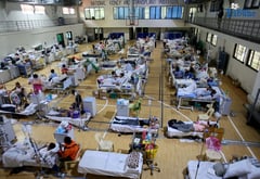 NKTI reports spike in leptospirosis