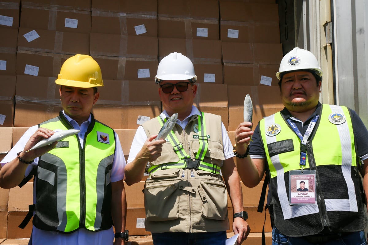 P200M worth of smuggled frozen goods seized