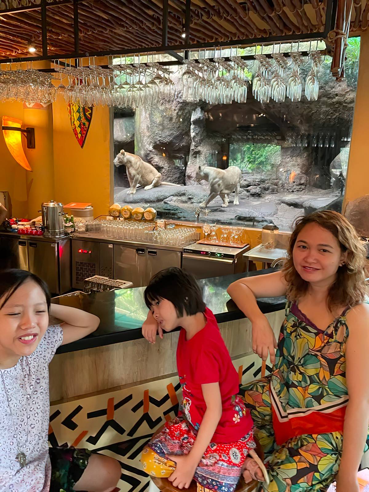 Viewing the lionesses at the bar.