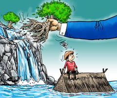 Want to help? Return the mangroves