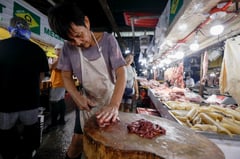Phl bans cattle imports over disease