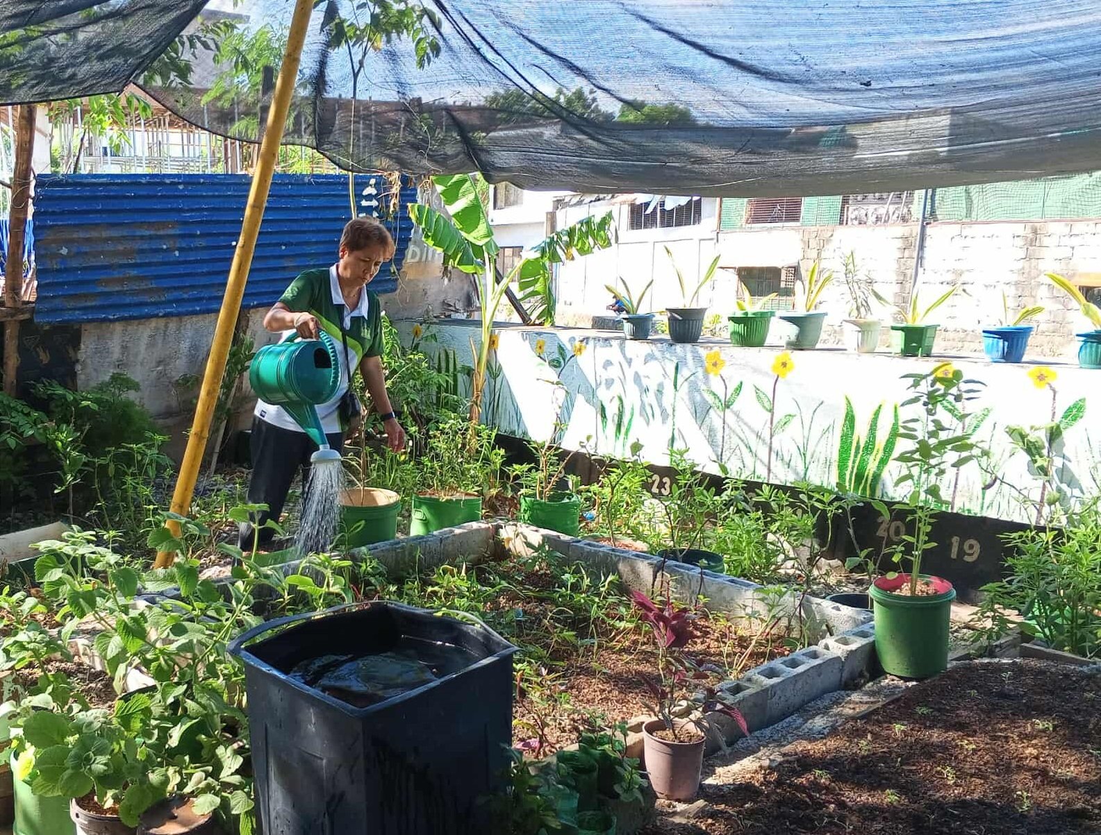 DA to expand ‘White Revolution’ to ensure stable, year-round vegetable supply