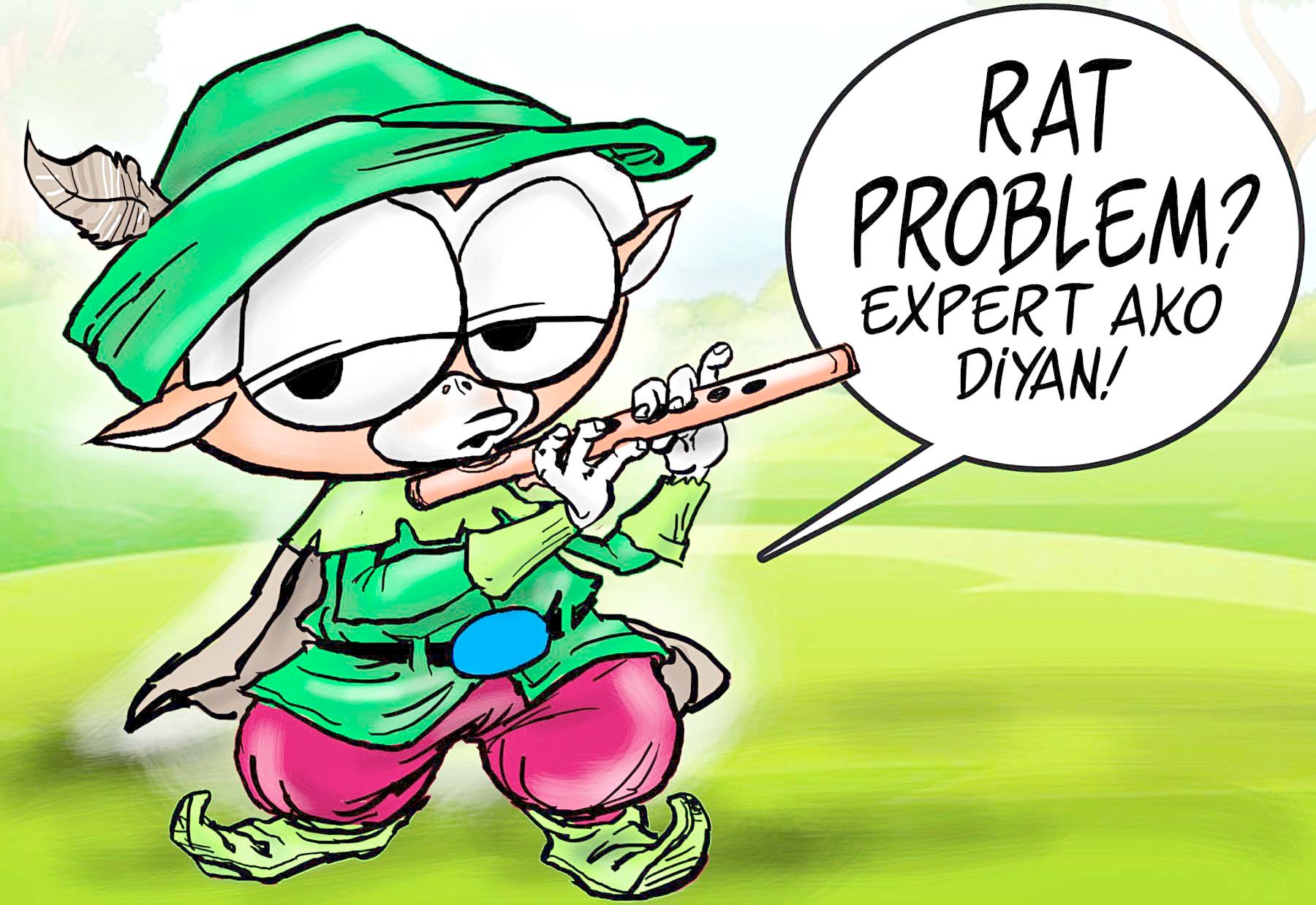 Ferrets and pellets