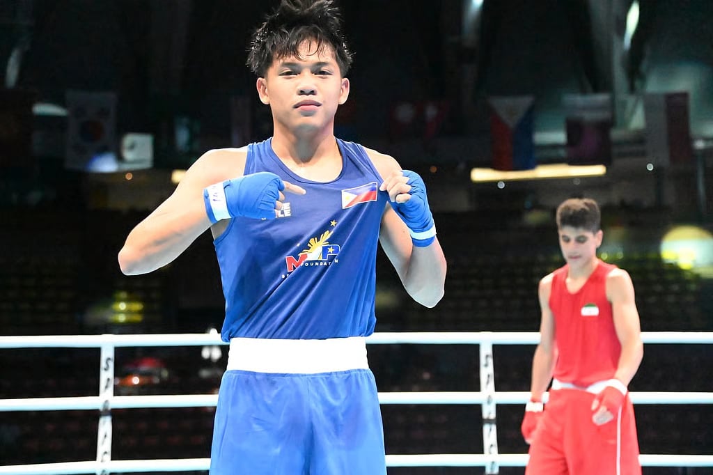 Vicera, Baguhin fall short in Asian tilt