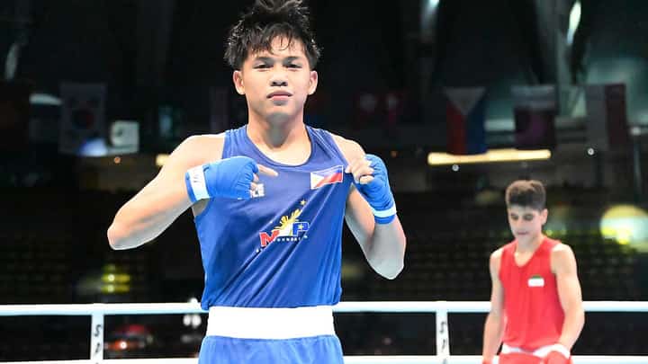 Vicera, Baguhin fall short in Asian tilt