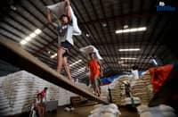 (FILES) Workers at NFA warehouse in Balagtas Bulacan seen loading a sack of rice onto the truck to deliver to the various Kadiwa ng pangulo store in Bulacan area on Wednesday August 13 2025. The activity is part of the Department of Agriculture’s “P20 Benteng Bigas Meron Na Para sa Magsasaka” program, which aims to provide affordable rice to consumers while supporting local farmers amid rising prices of basic commodities. Photo/Analy Labor
