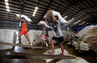 DA rolls out more P20 rice outlets in Metro Manila