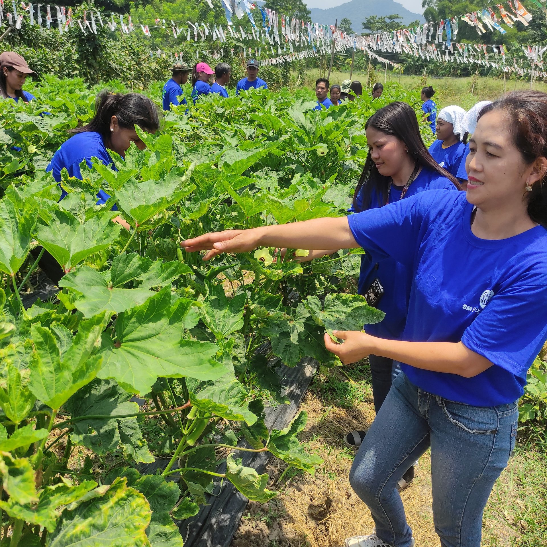 SM Foundation expands KSK program, trains more farmers nationwide