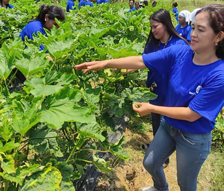 SM Foundation ramps up farmers’ training