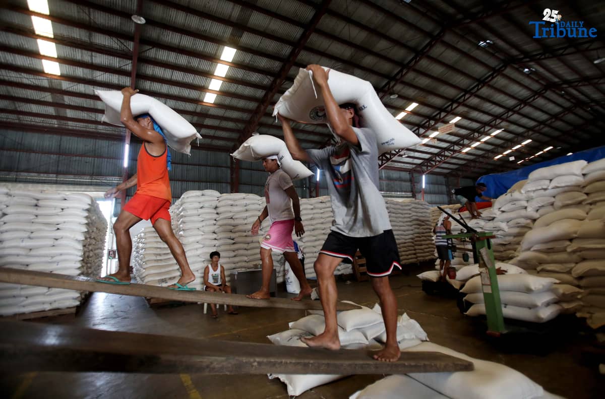 ANALY LABOR