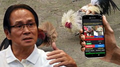 E-sabong still thrives on unregulated platforms, says study