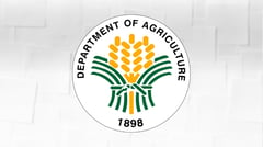 DA seeks bigger budget for agri competitiveness