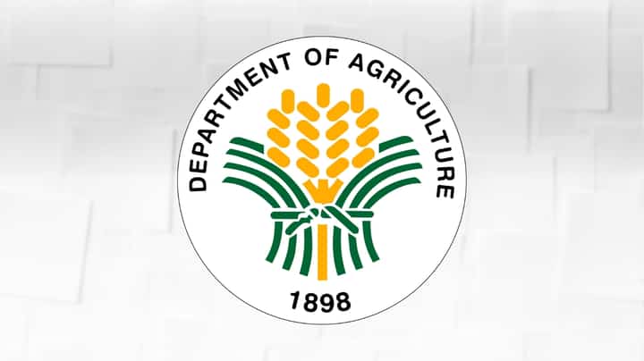 DA seeks bigger budget for agri competitiveness