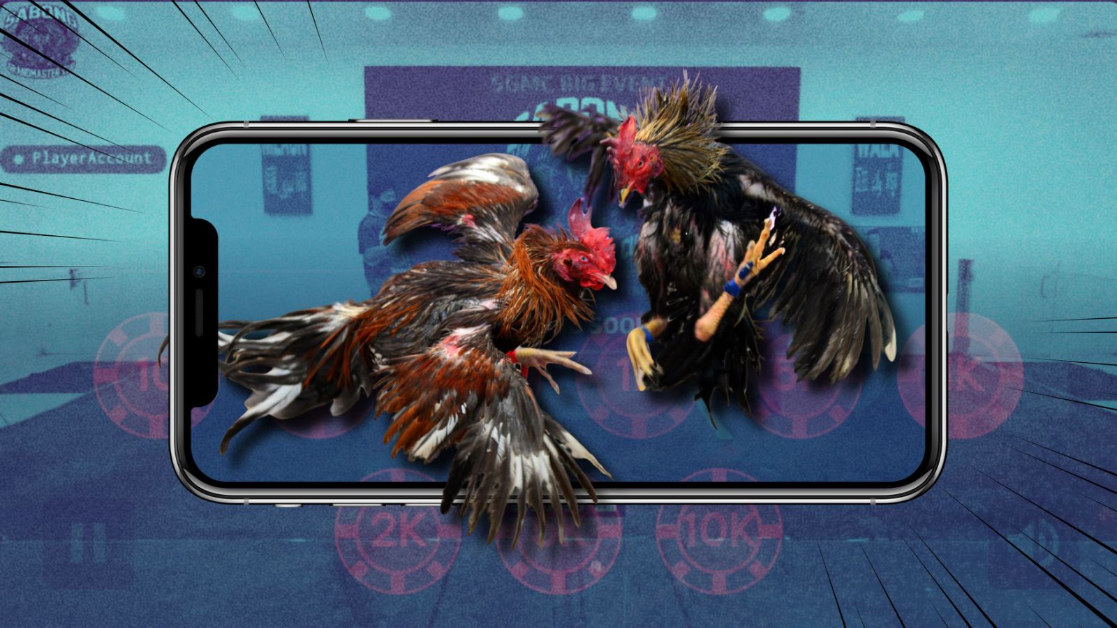 Authorities probe illegal online cockfighting ops