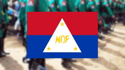 NDF consultants acquitted from kidnap, murder raps