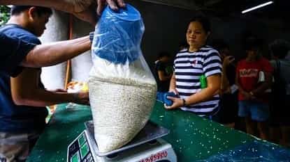 DA banks on P10-B budget boost for P20 rice rollout