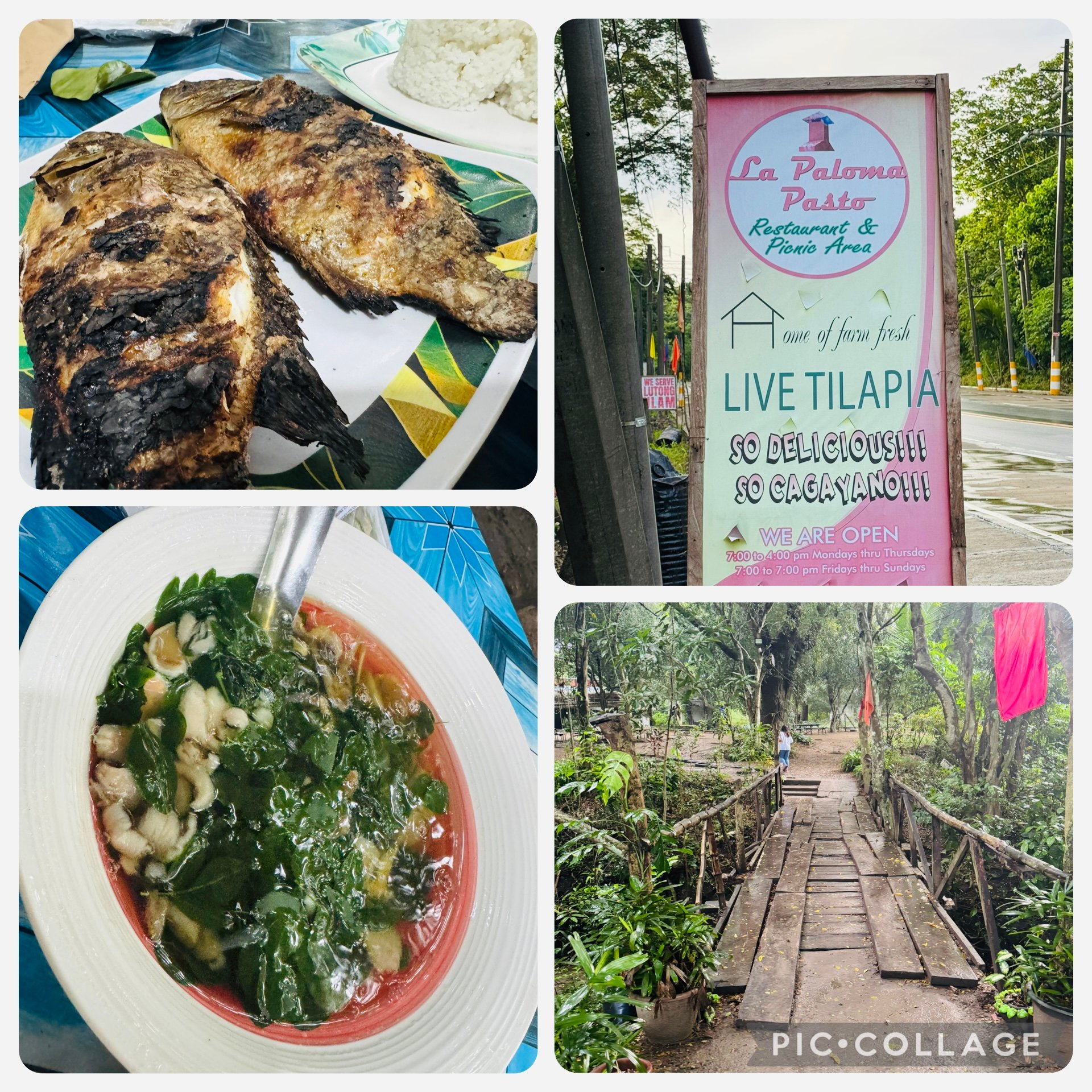 La Paloma Restaurant: From family farm to pilgrims’ haven