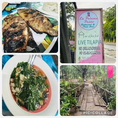 La Paloma Restaurant: From family farm to pilgrims’ haven