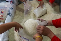 Volunteers pack food aid for families on World Humanitarian Day