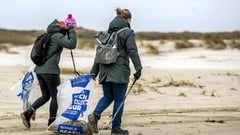 Dutch divers still haul up debris six years after container spill