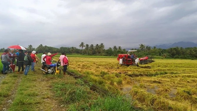 DA widens reach of P20 rice program