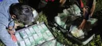 Sting ops yield P455-M shabu