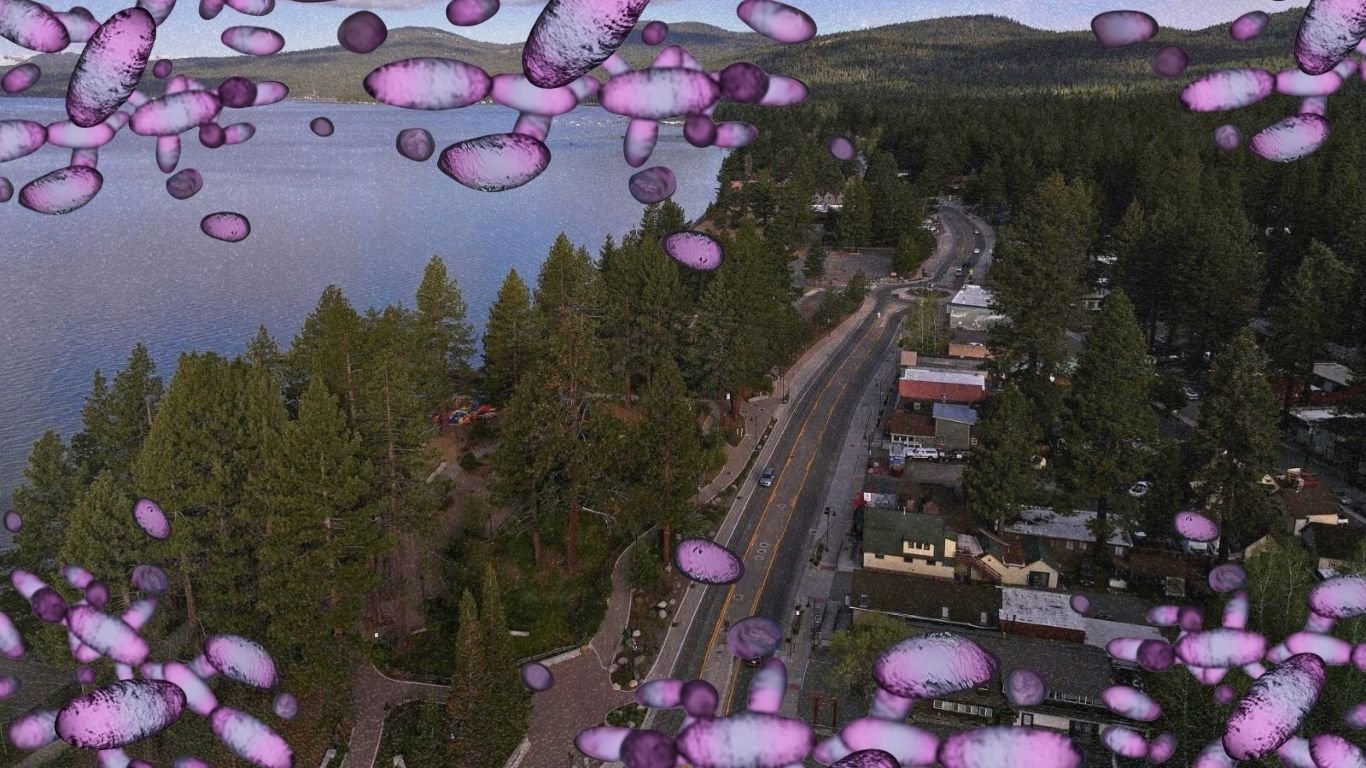 Lake Tahoe plague case renews awareness of age-old disease