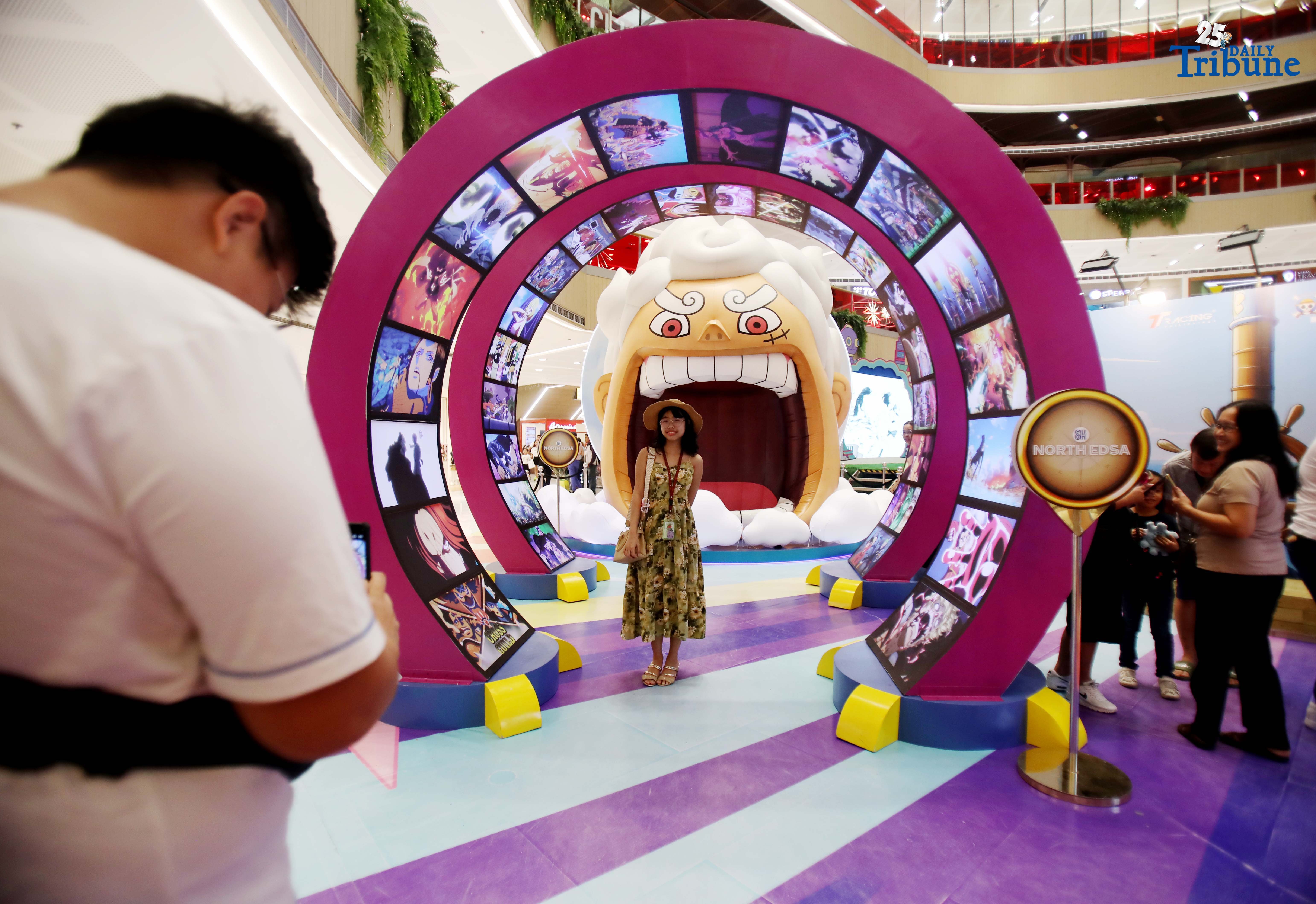 'One Piece' display